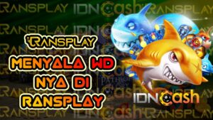 penampakan langka hiu oranye mata putih